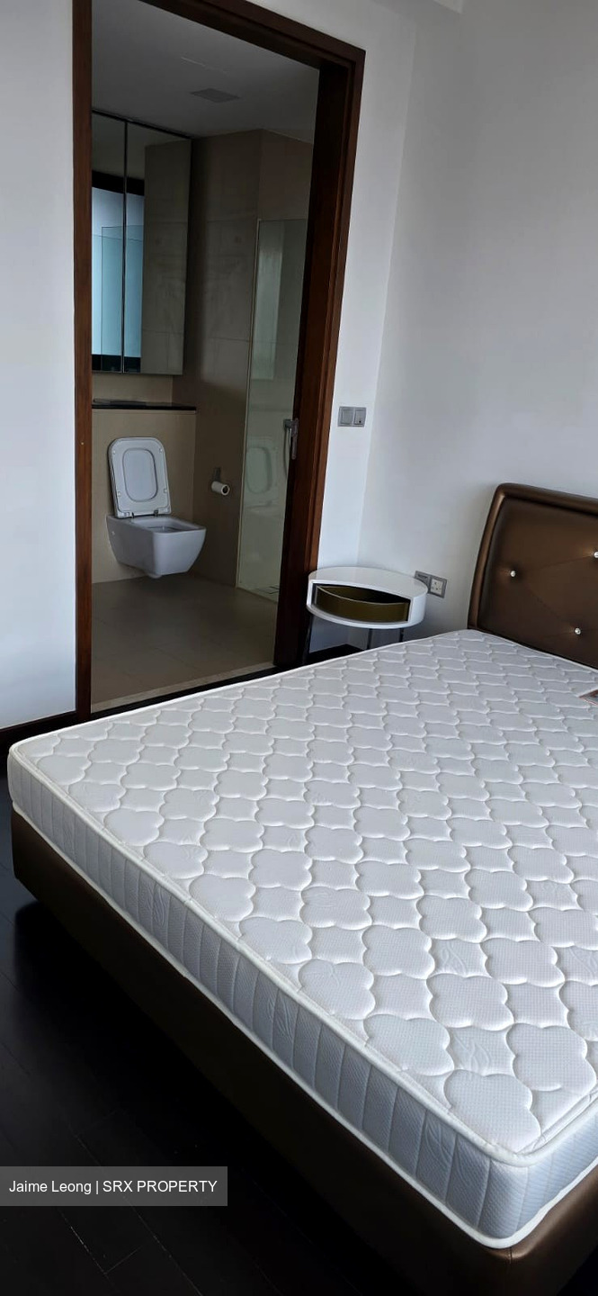 Spottiswoode Residences (D2), Condominium #628837941